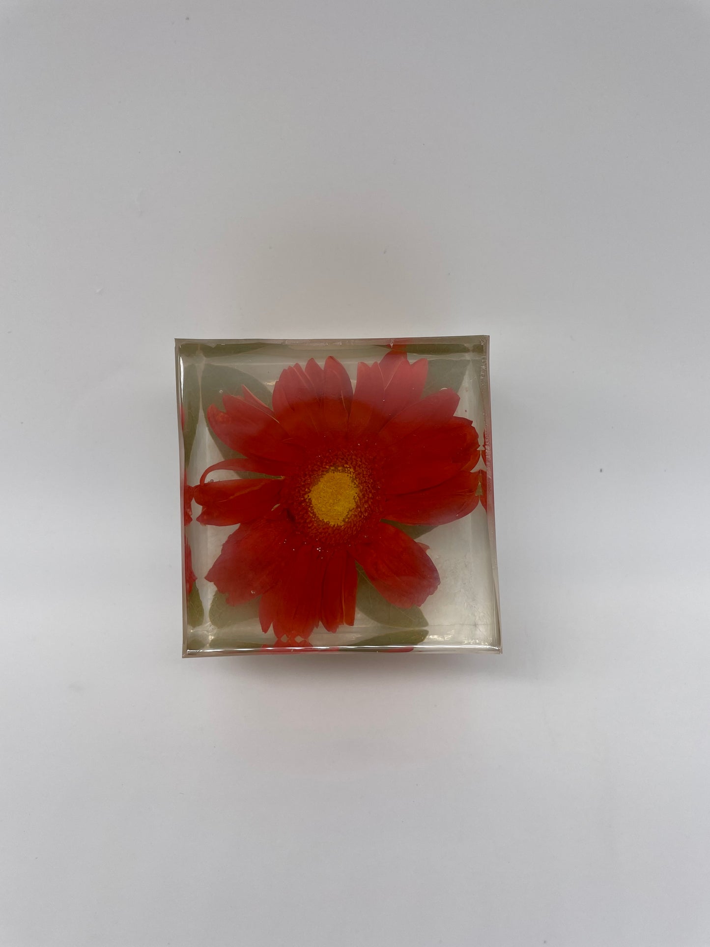 Preserved Flower Resin Block Wedding & Memorial Keepsake